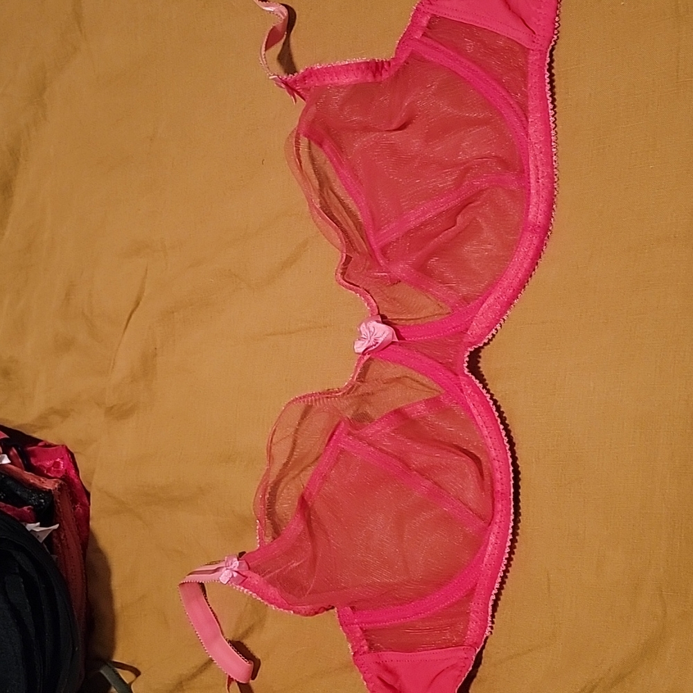 Red Sheer Plunge Bra 38E